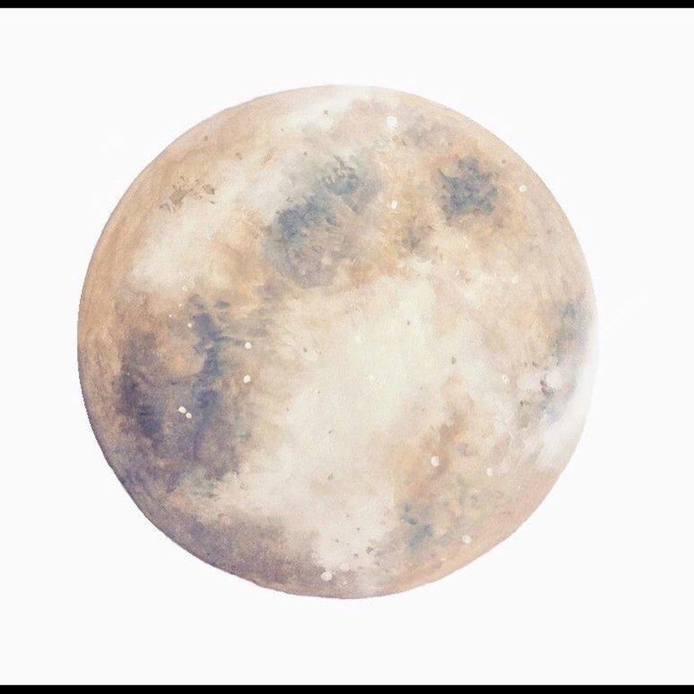 Meet your Posher, Brogan